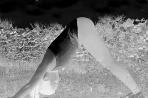 la Produttività yoga il cane a testa in giu
