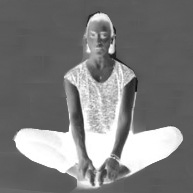 la Produttività farfalla