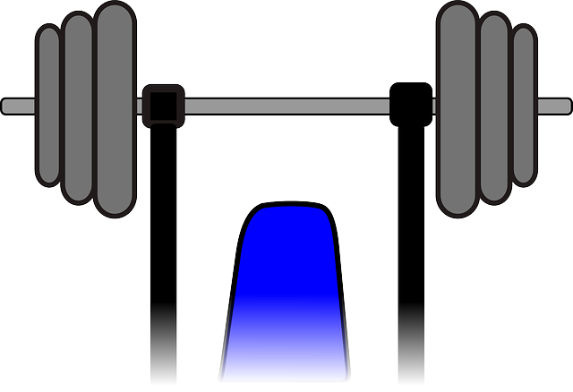 usato vincente noleggio