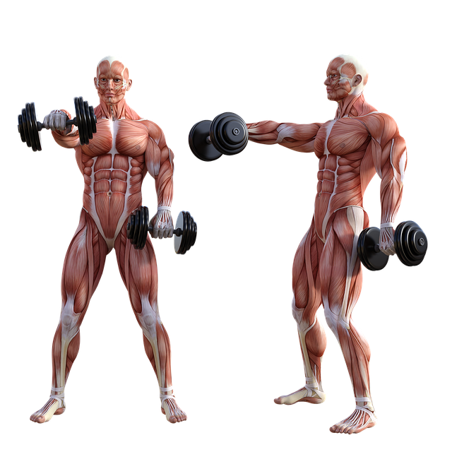 Palestra in casa attrezzi allenamenti efficaci