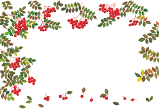 pressione alta biancospino