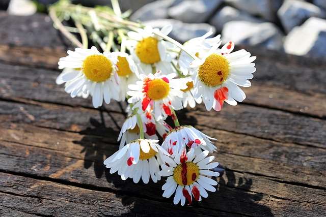 pressione alta: rilassarsi