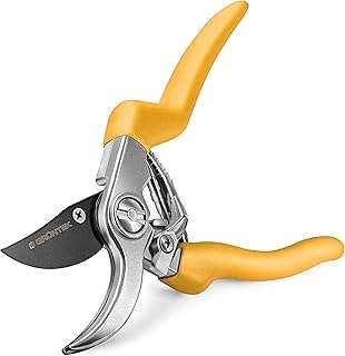 giardinaggio forbici potatura