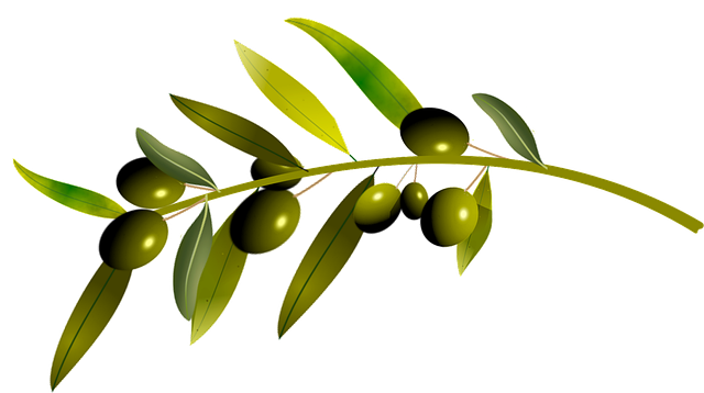 Integratori per Pulire Vene e Arterie foglie di ulivo