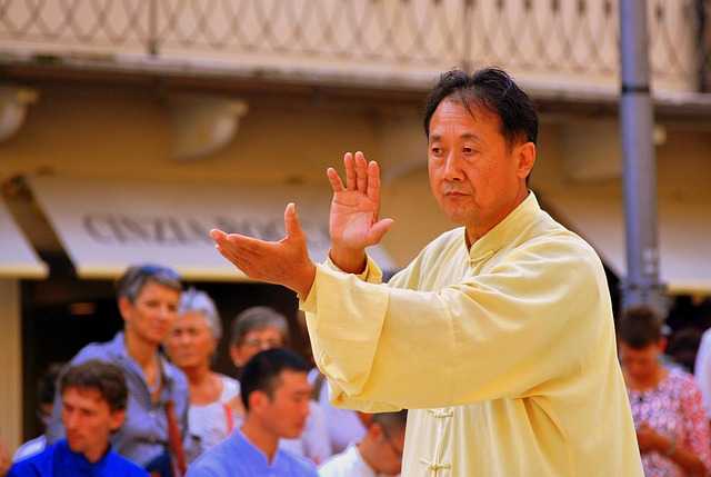 tai chi marziale