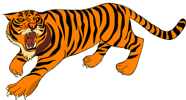 tigre
